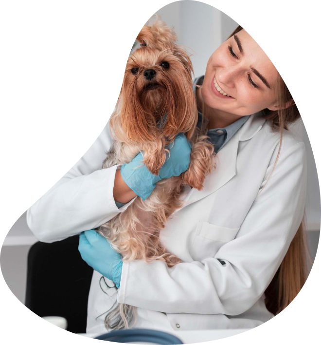 profesionales-de-la-salud-veterinario